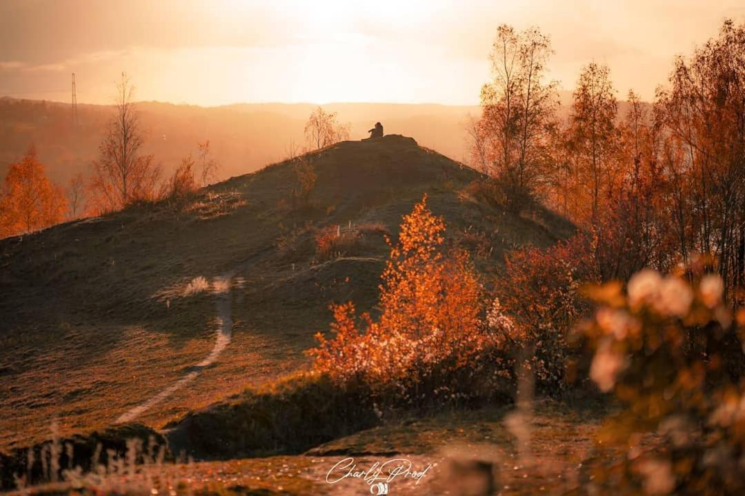 Le Pommier Rustique Parque de Campismo Yvoir
