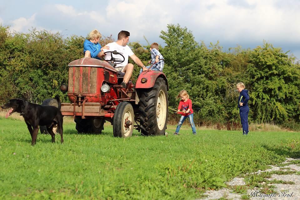 Campingplatz Le Pommier Rustique